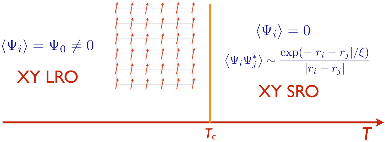 Topological order, emergent gauge fields, and Fermi surface ...