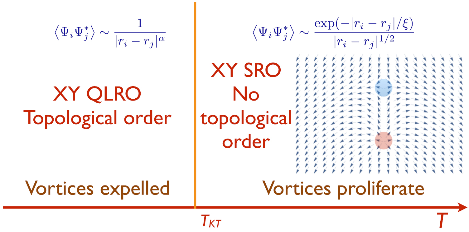 Topological order, emergent gauge fields, and Fermi surface ...