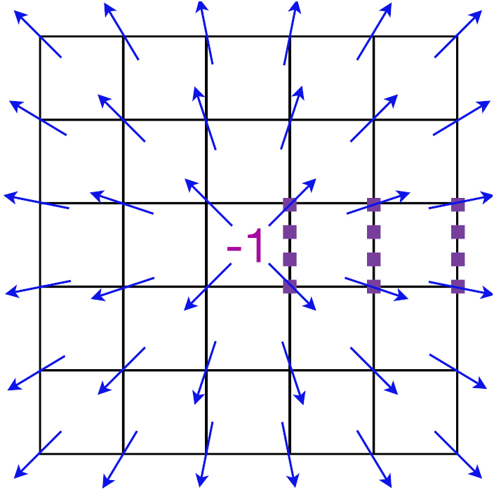 Topological order, emergent gauge fields, and Fermi surface ...