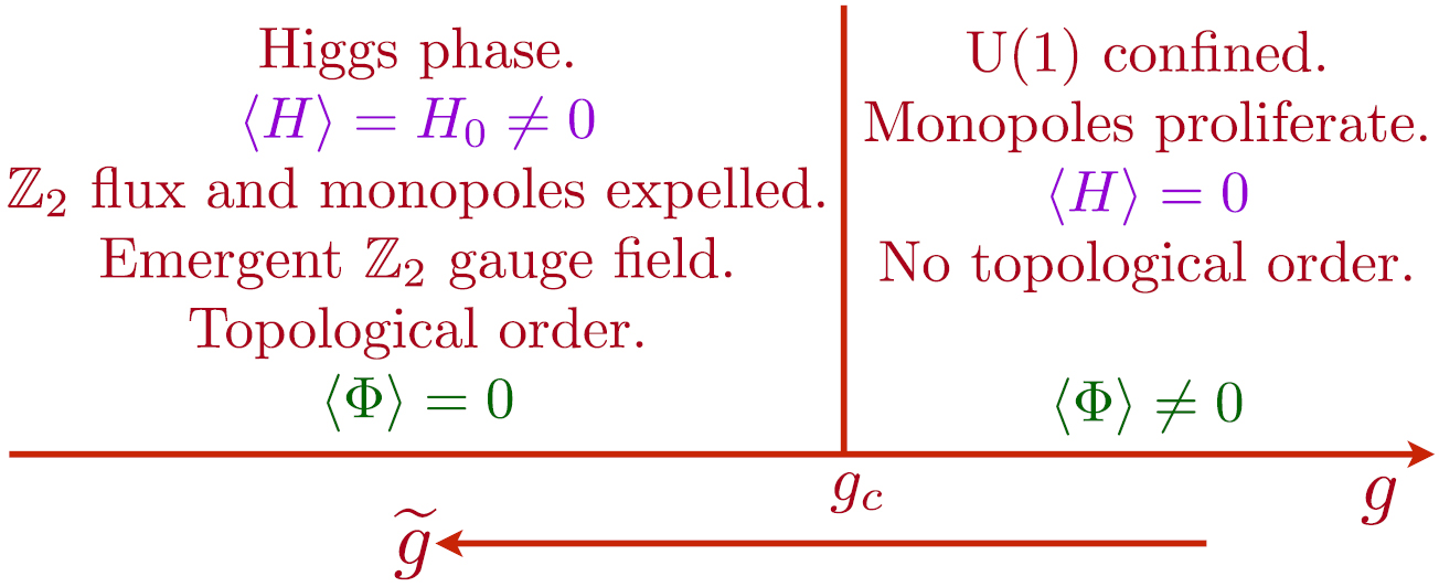 Topological order, emergent gauge fields, and Fermi surface ...