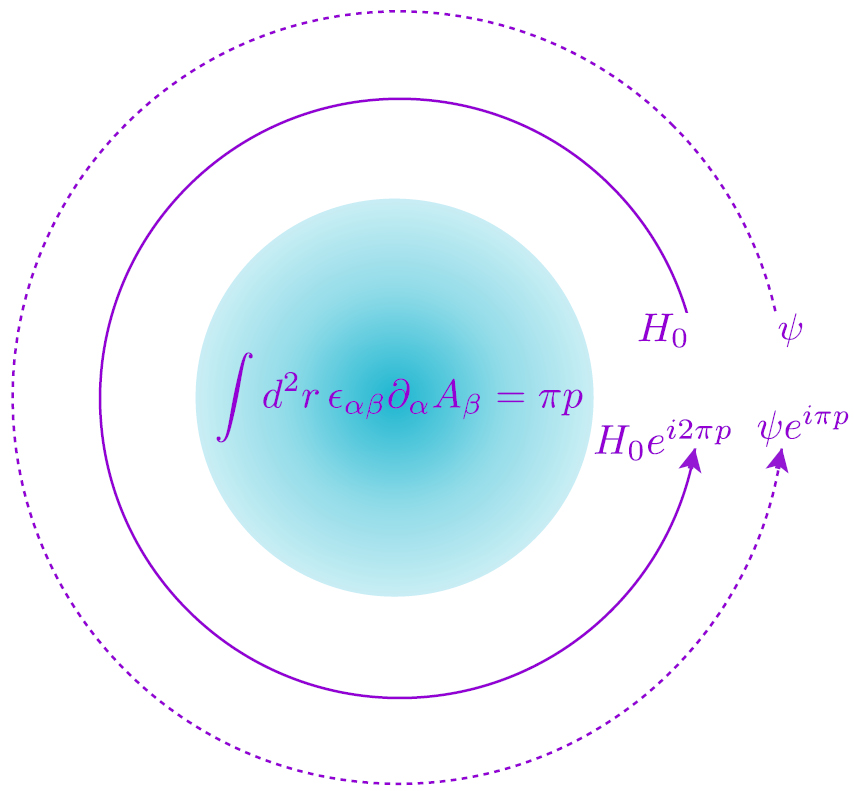 Topological order, emergent gauge fields, and Fermi surface ...