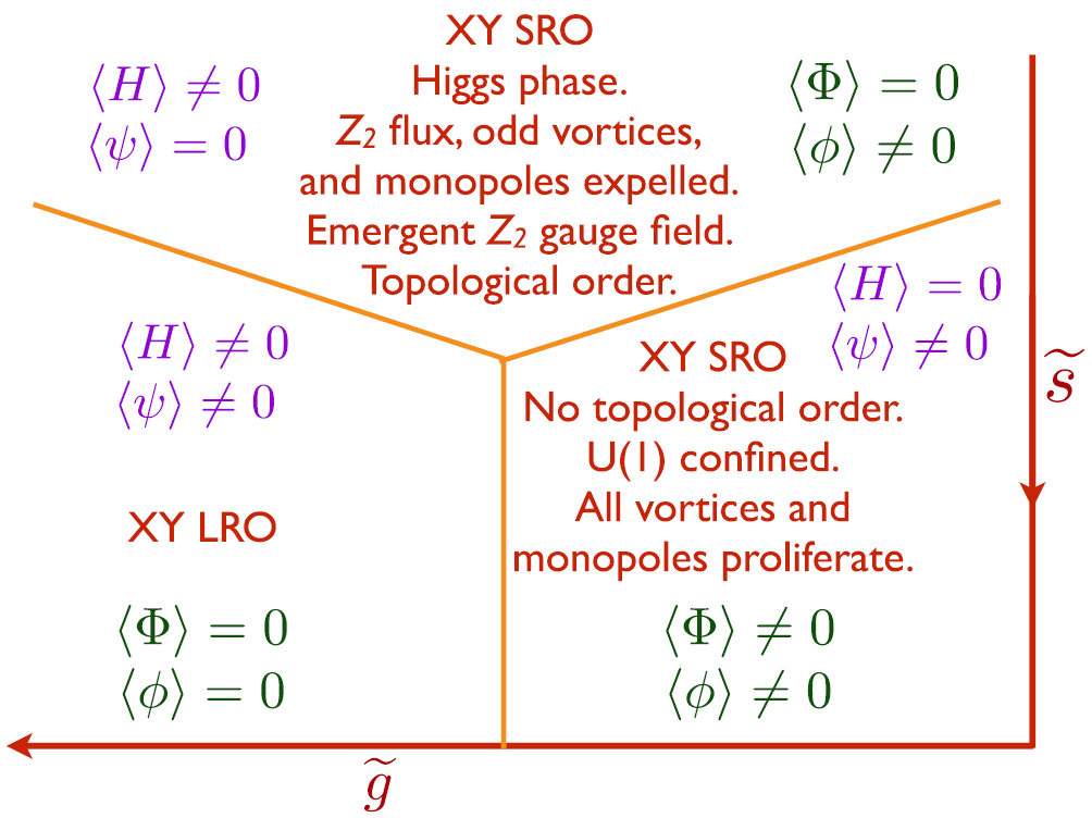 Topological order, emergent gauge fields, and Fermi surface ...