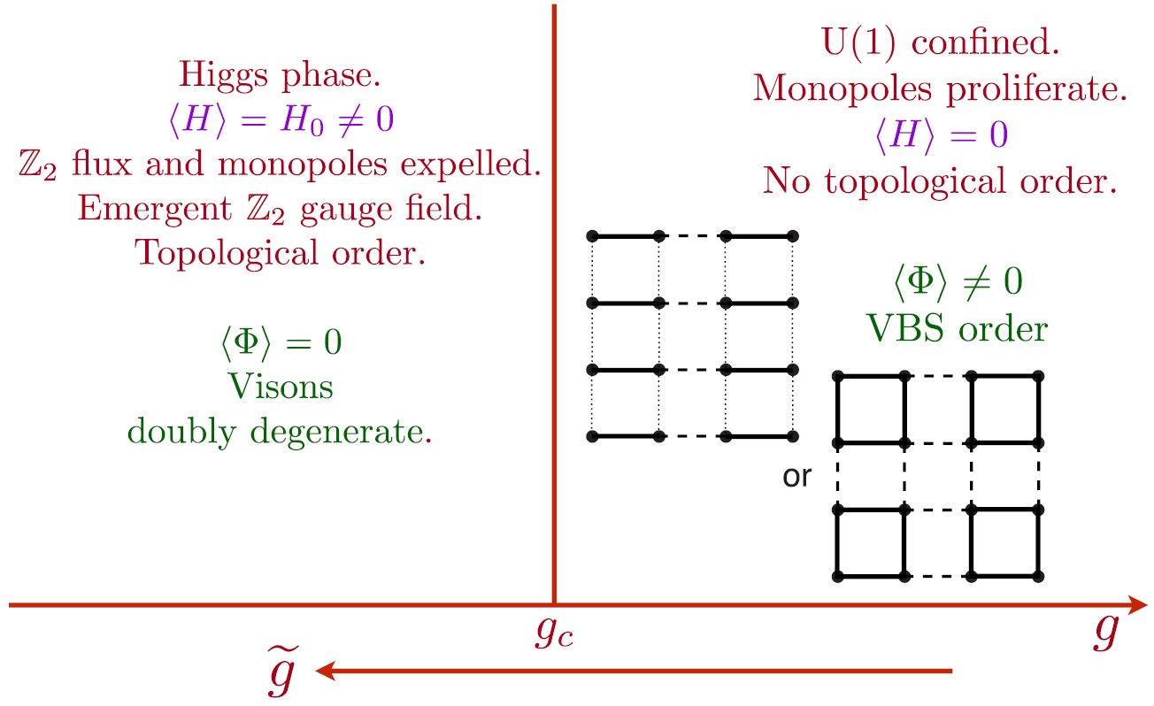 Topological order, emergent gauge fields, and Fermi surface ...