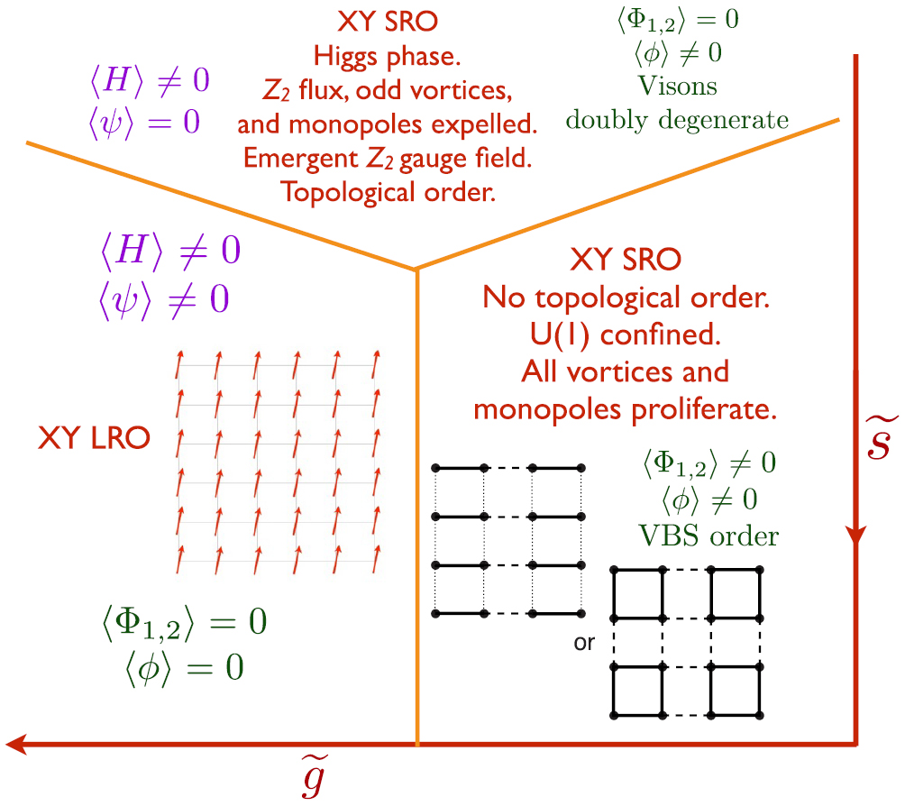 Topological order, emergent gauge fields, and Fermi surface ...