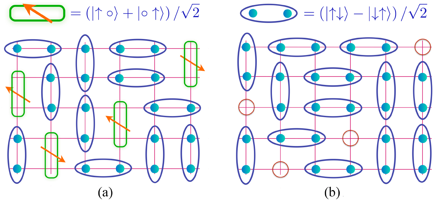 Topological order, emergent gauge fields, and Fermi surface ...