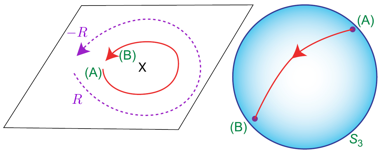 Topological order, emergent gauge fields, and Fermi surface ...