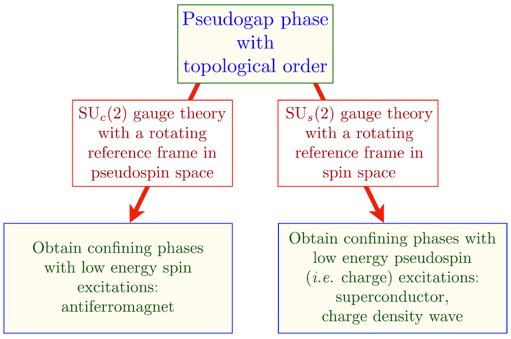 Topological order, emergent gauge fields, and Fermi surface ...