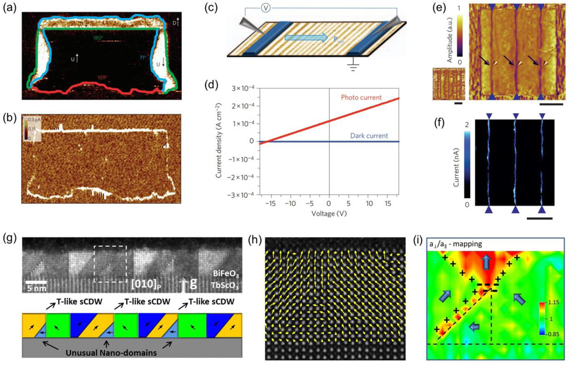 Real-time studies of ferroelectric domain switching: a review - IOPscience