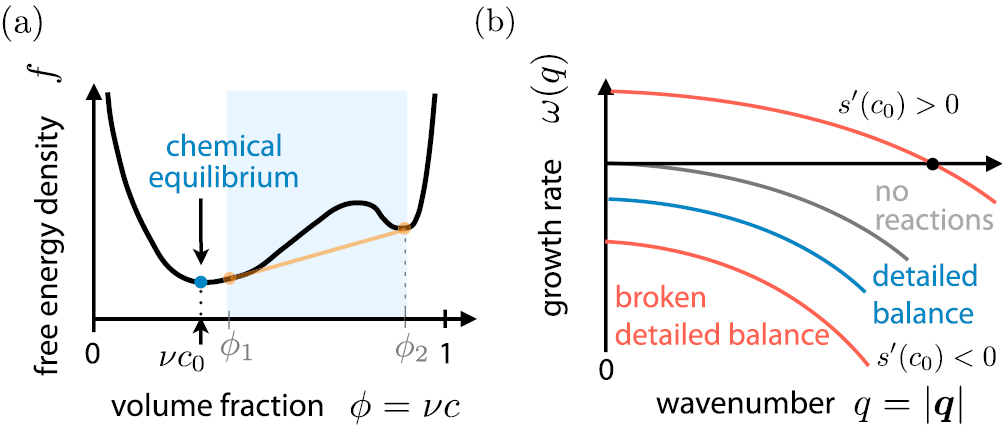 Physics of active emulsions - IOPscience