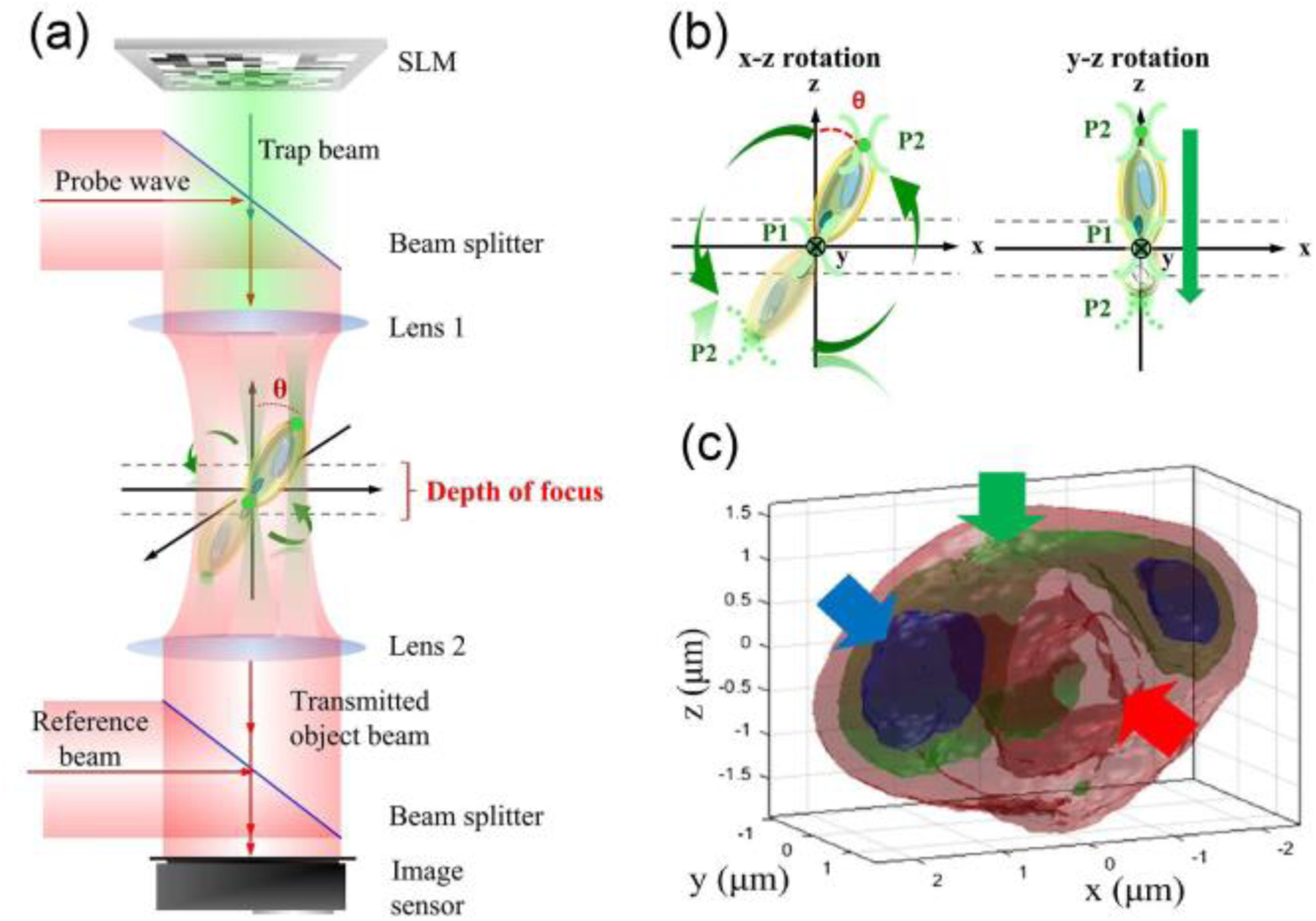 Simultaneous optical trapping and imaging in the axial plane: a review ...
