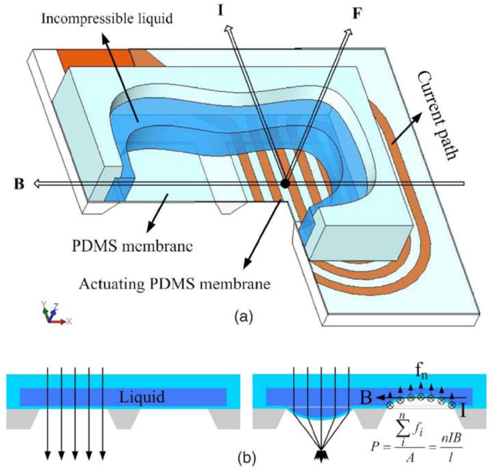 Biologically inspired artificial eyes and photonics - IOPscience