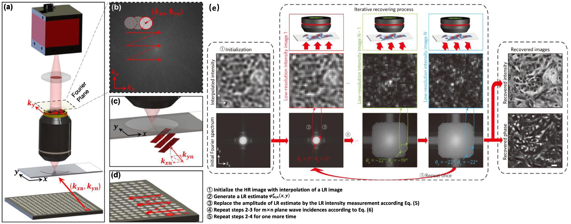 High-resolution and large field-of-view Fourier ptychographic ...