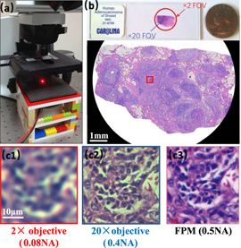 High-resolution and large field-of-view Fourier ptychographic ...