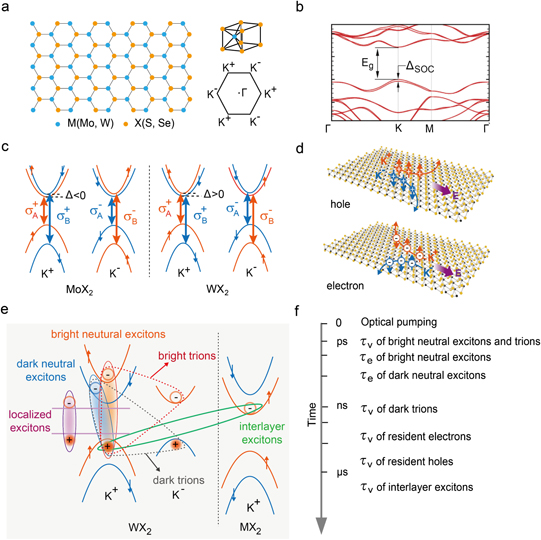 Valley manipulation in monolayer transition metal dichalcogenides and ...