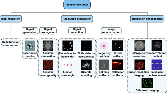 Spatial resolution in photoacoustic computed tomography - IOPscience