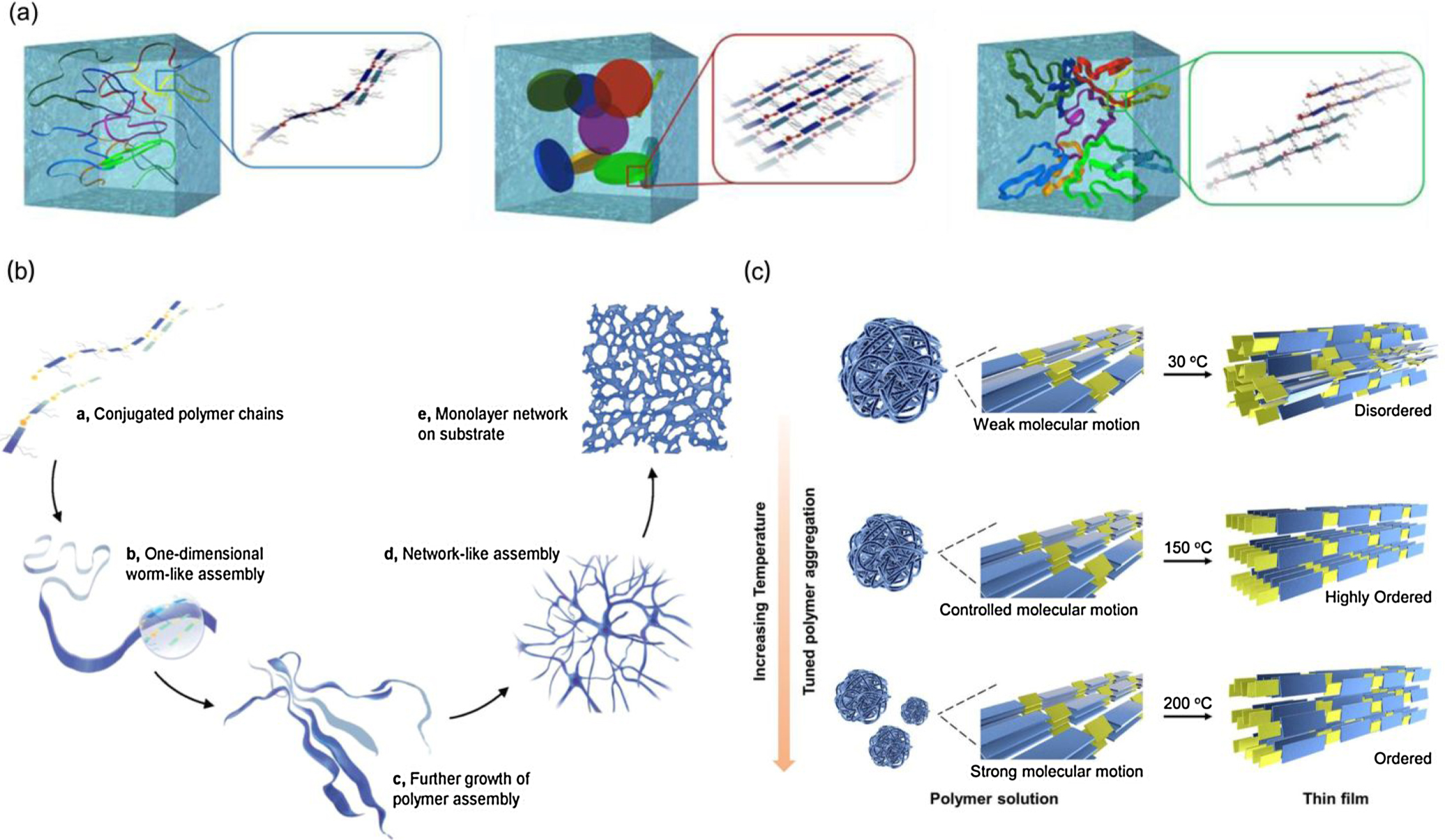 Multi-level aggregation of conjugated small molecules and polymers ...