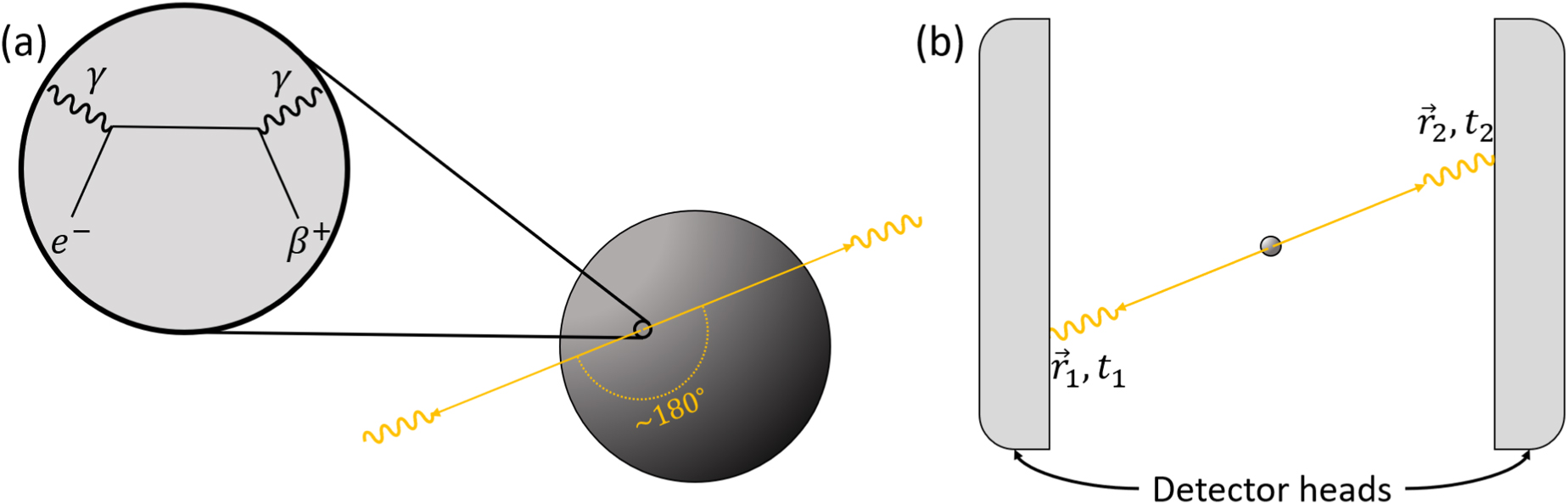 Recent advances in positron emission particle tracking: a comparative ...