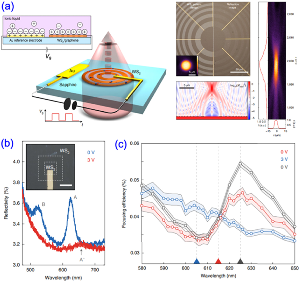 Active optical metasurfaces: comprehensive review on physics ...