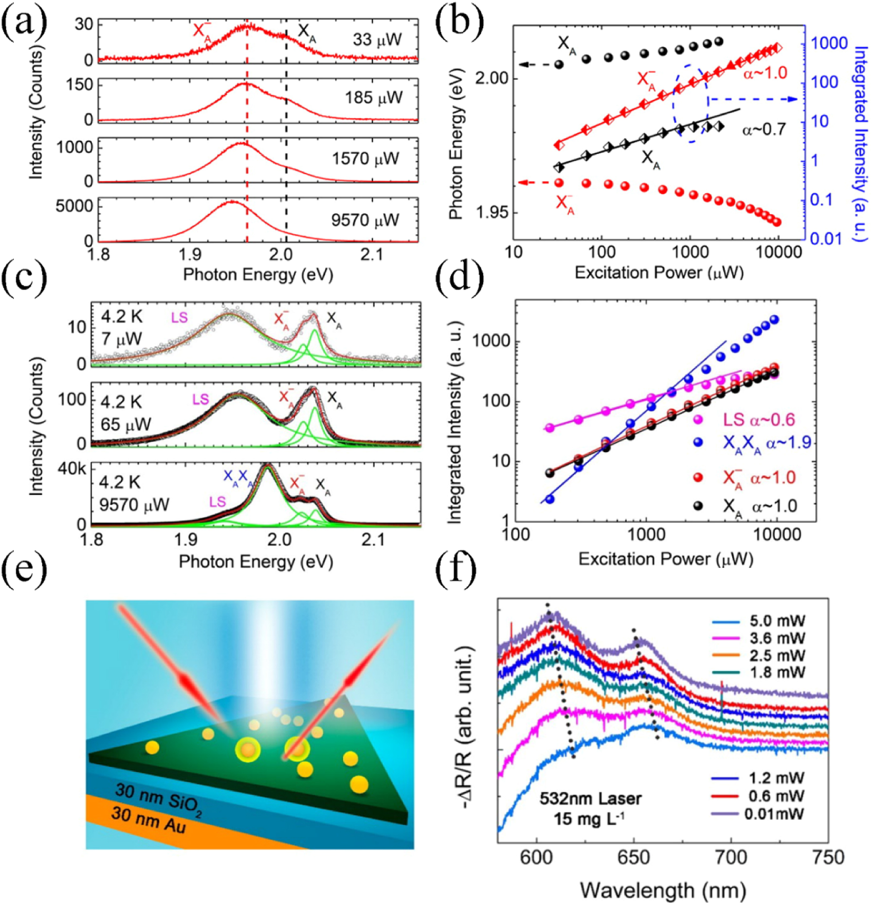 Enhanced light–matter interaction in two-dimensional