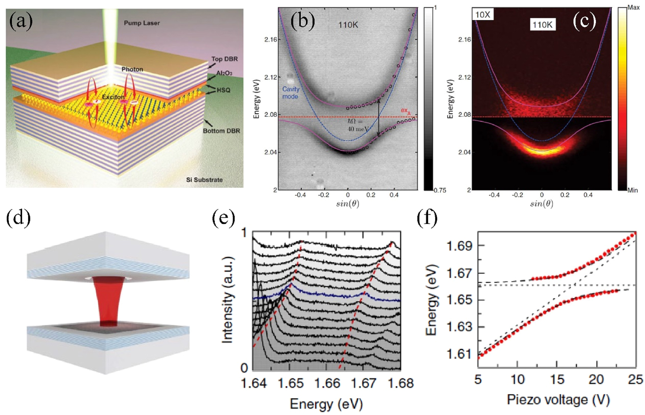 【シュリンク付】LIMIT OVER COLLECTION -RIVALS-8箱 Enhanced light–matter interaction in two-dimensional transition