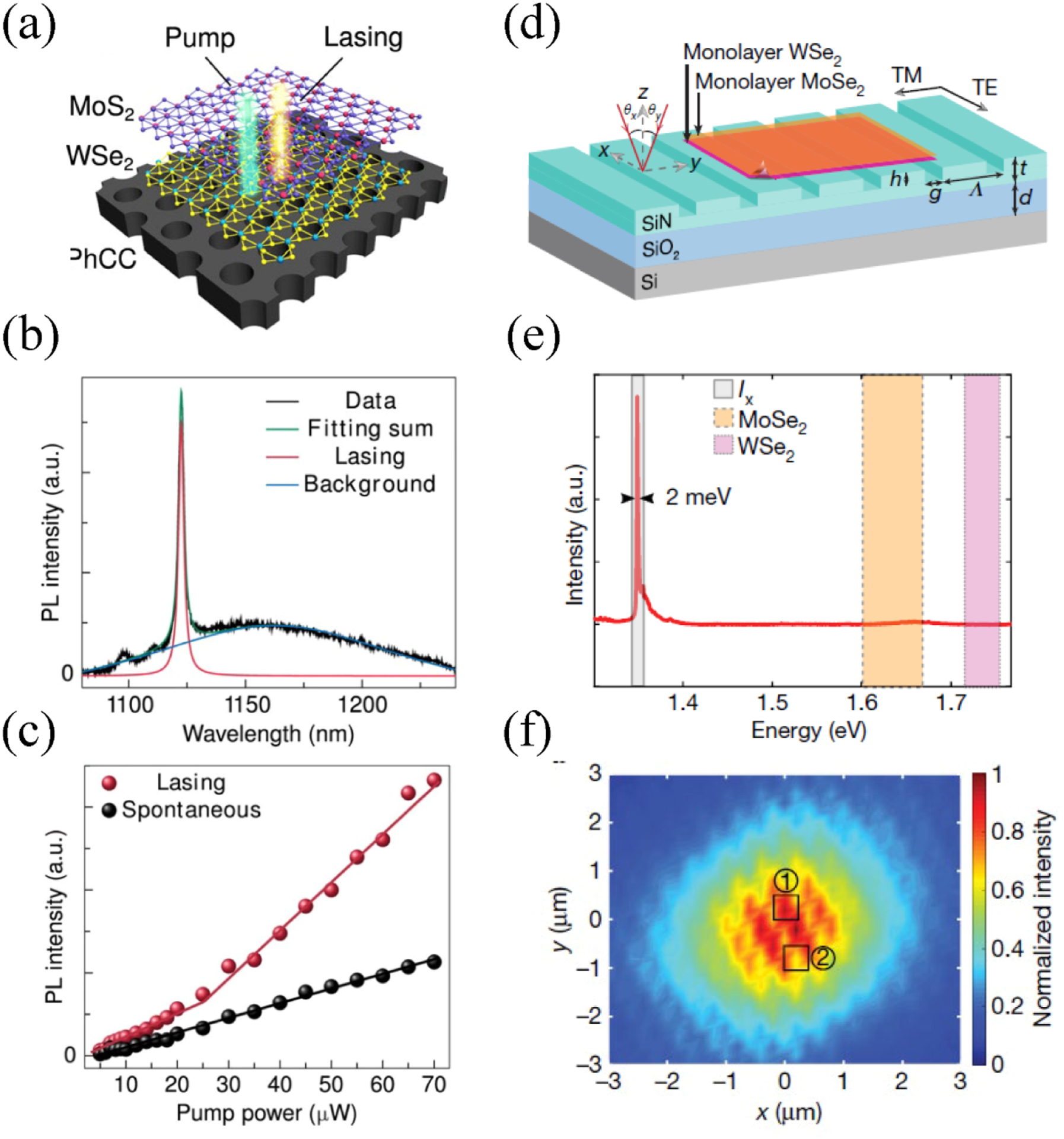 Enhanced light–matter interaction in two-dimensional transition