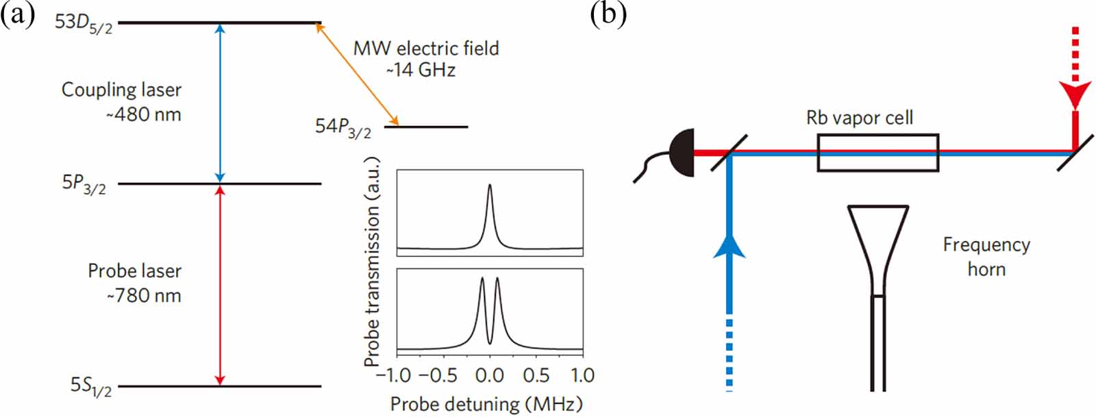 Quantum sensing of microwave electric fields based on Rydberg atoms ...