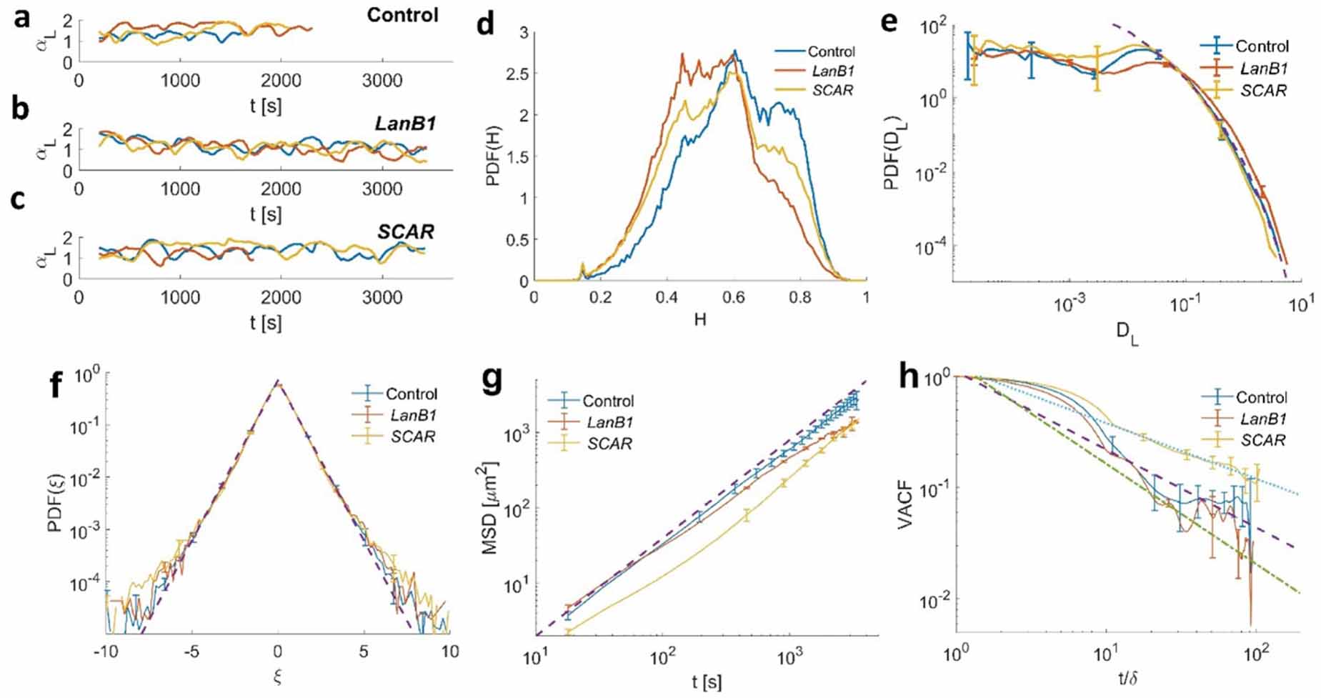 Heterogeneous anomalous transport in cellular and molecular biology ...