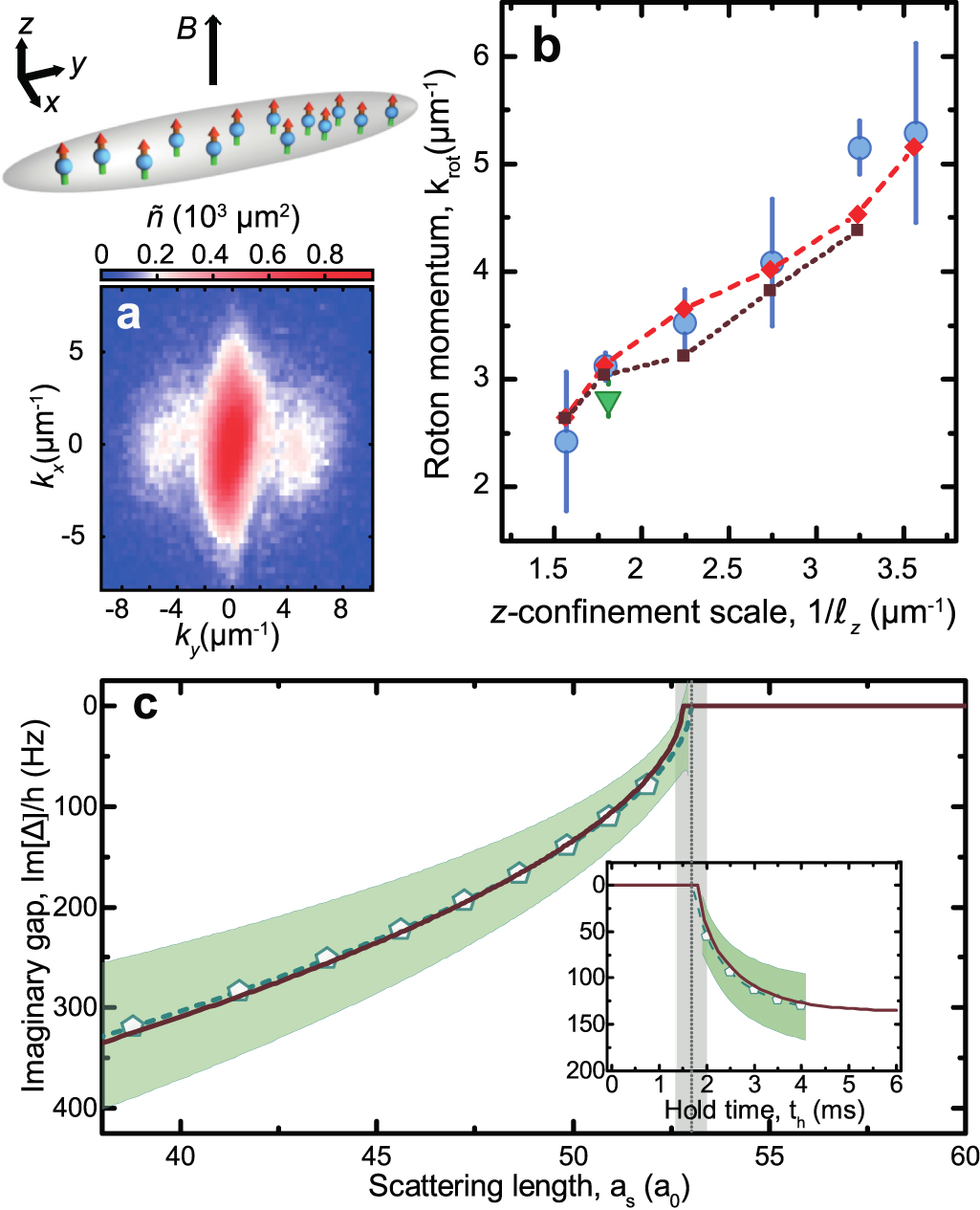 Dipolar physics: a review of experiments with magnetic quantum
