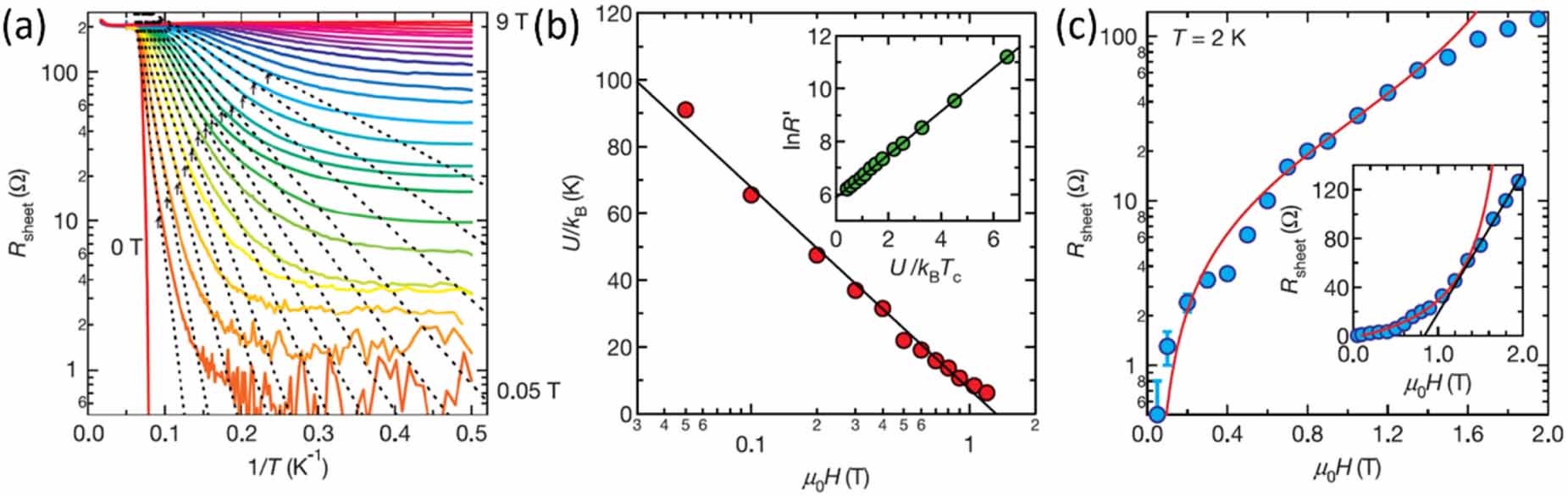 Quantum phase transitions in two-dimensional superconductors: a review ...