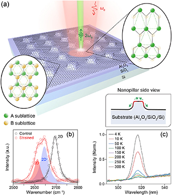 専用ページ セレクト Mechanical, electronic, optical, piezoelectric and ferroic