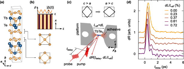 Ultra Fast Reflectivity Emergent symmetry in TbTe3 revealed by ultrafast reflectivity under ...