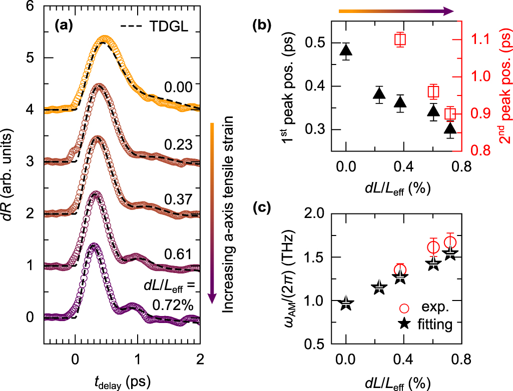 Ultra Fast Reflectivity Emergent symmetry in TbTe3 revealed by ultrafast reflectivity under ...