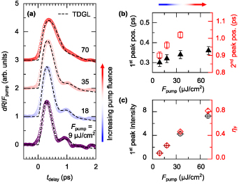 Ultra Fast Reflectivity Emergent symmetry in TbTe3 revealed by ultrafast reflectivity under ...