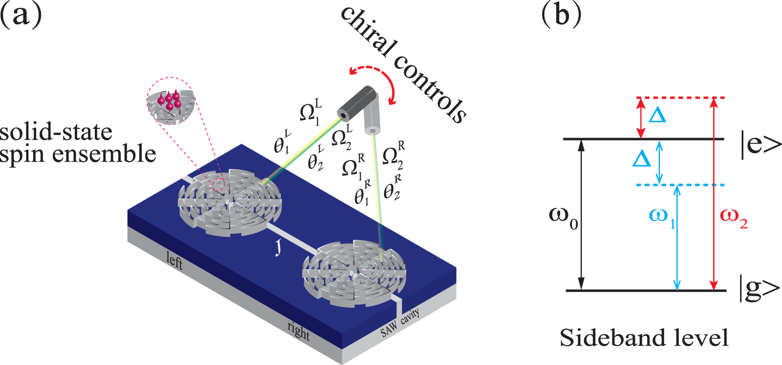 ゆん Realization of chiral two-mode Lipkin–Meshkov–Glick models