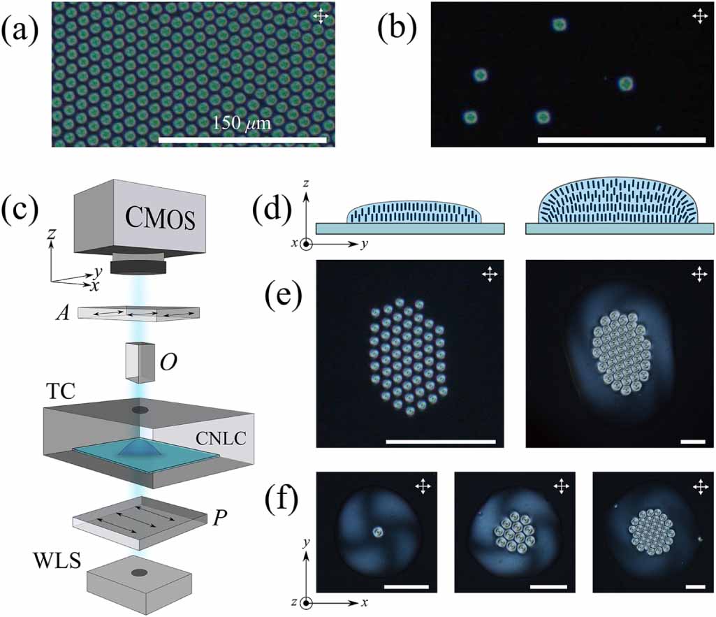 Abrikosov clusters in chiral liquid crystal droplets - IOPscience