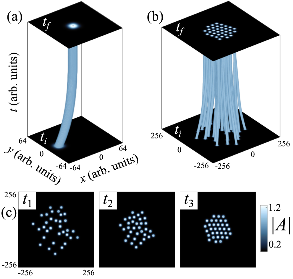 Abrikosov clusters in chiral liquid crystal droplets - IOPscience