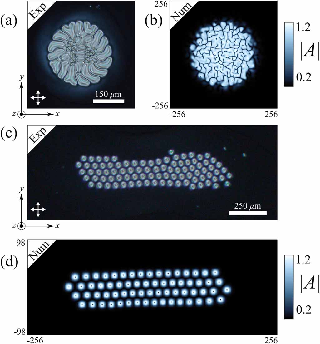 Abrikosov clusters in chiral liquid crystal droplets - IOPscience