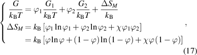 Equation (17)