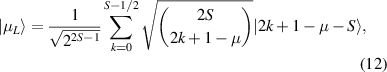 Equation (12)