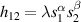 $h_{12} = \lambda s^{\alpha}_1 s_2^\beta$