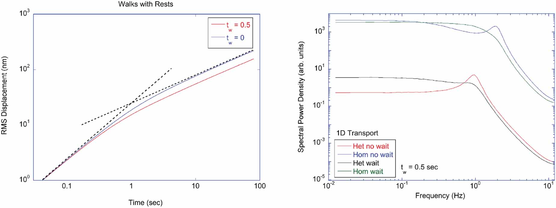 Coherent light scattering from cellular dynamics in living tissues
