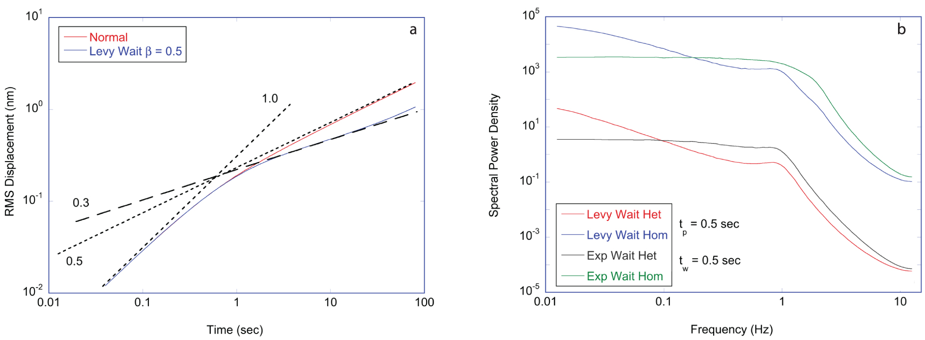 Marie -Ryoの初期イメージ作品。 Coherent light scattering from cellular dynamics in living tissues