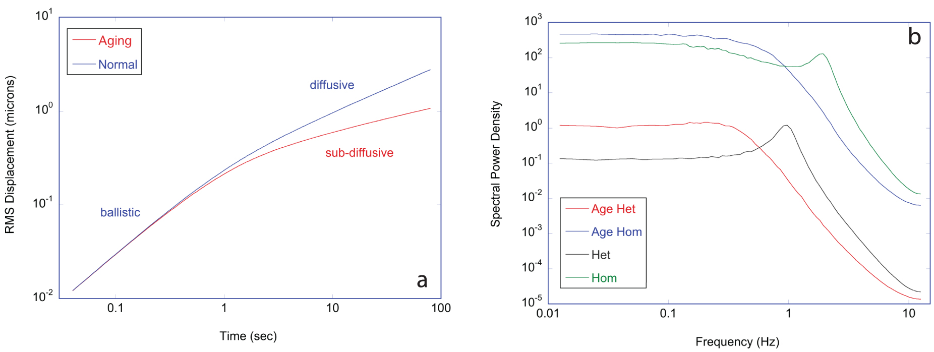 Marie -Ryoの初期イメージ作品。 Coherent light scattering from cellular dynamics in living tissues