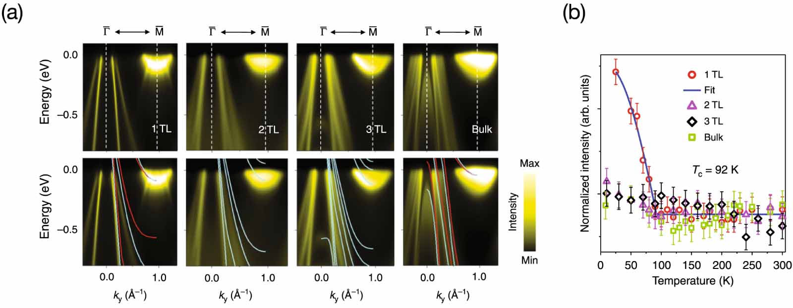 Charge density waves in two-dimensional transition metal ...