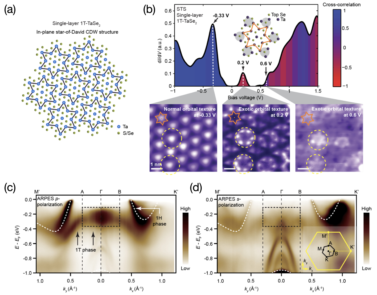 B-THREE サイズL パープル ストレッチパンツ専門店 B-THREE