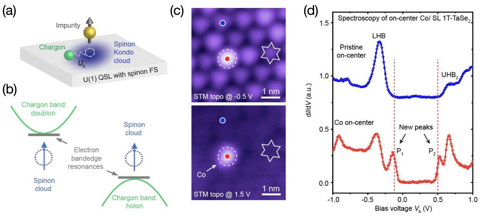 Charge density waves in two-dimensional transition metal
