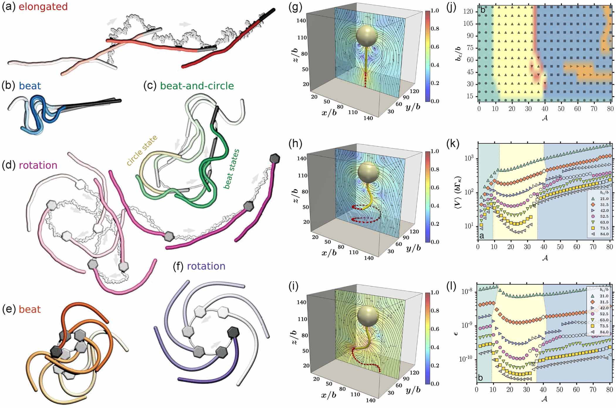 Non-equilibrium structural and dynamic behaviors of active polymers in ...
