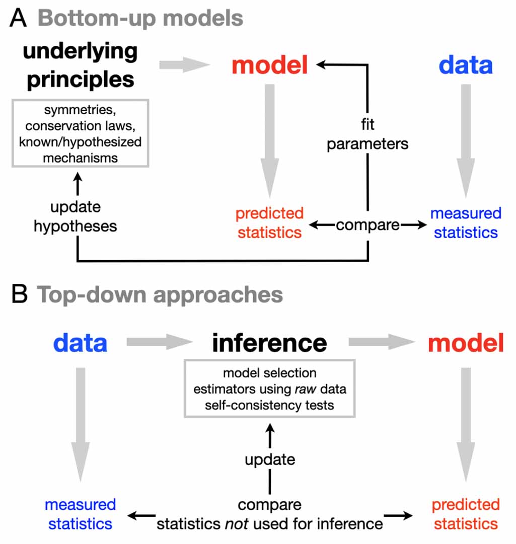 Learning dynamical models of single and collective cell migration: a ...