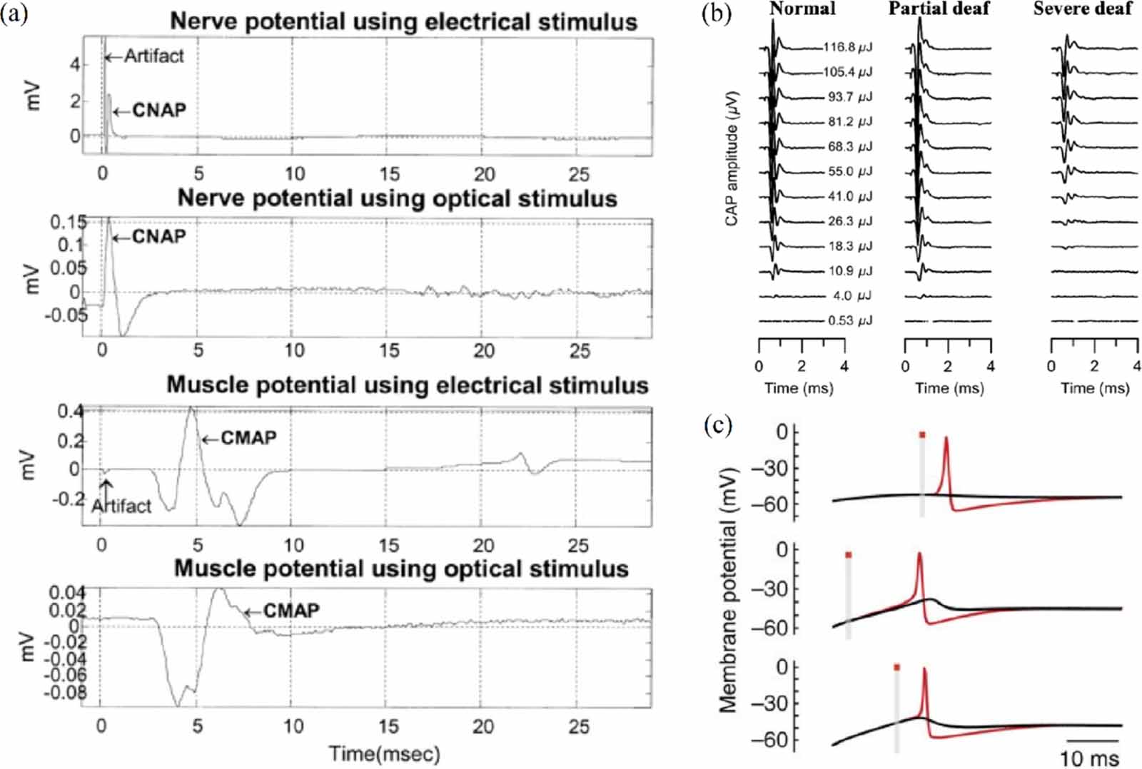 YO〜 Infrared neuromodulation—a review - IOPscience