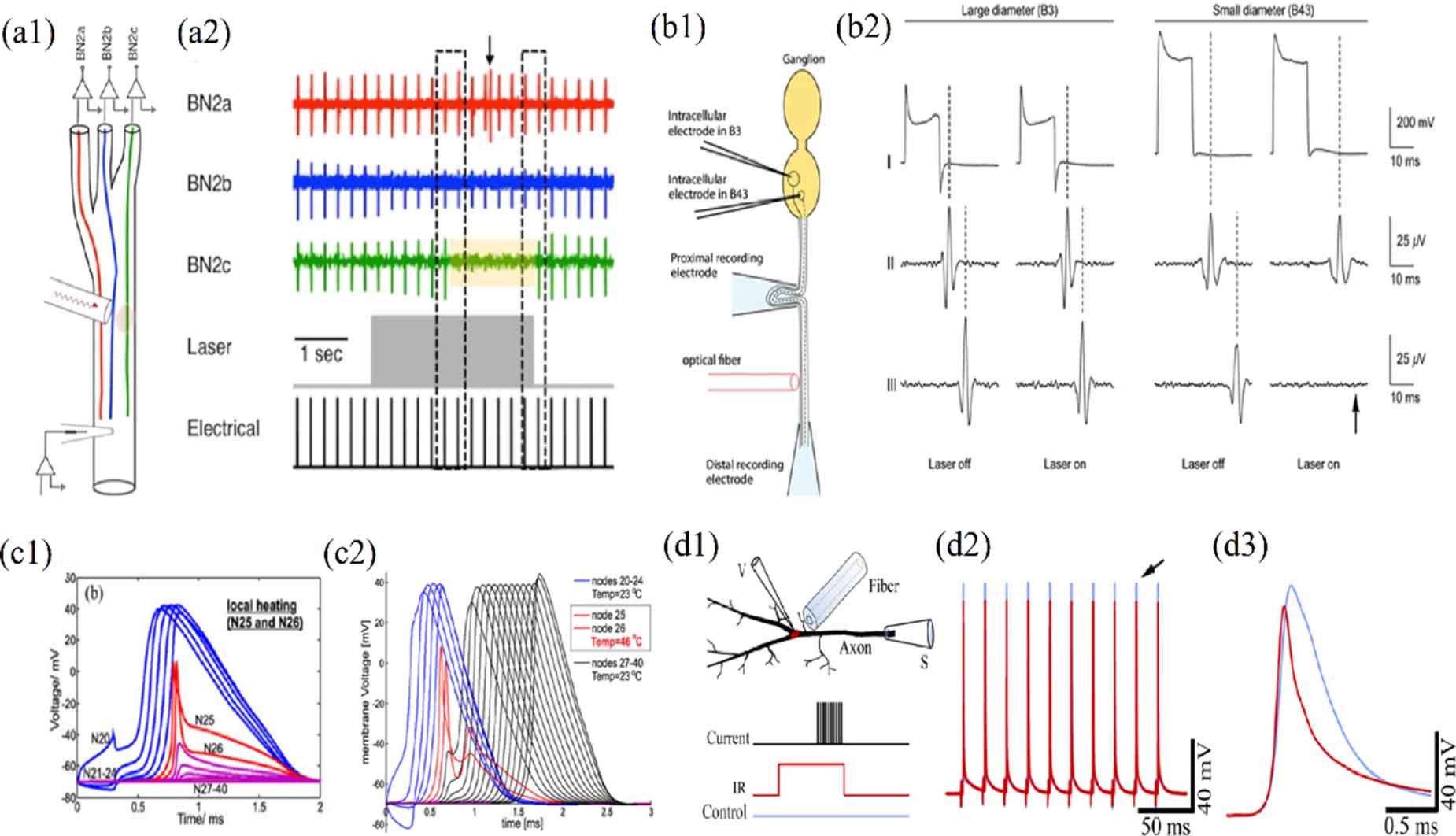 Infrared neuromodulation—a review - IOPscience